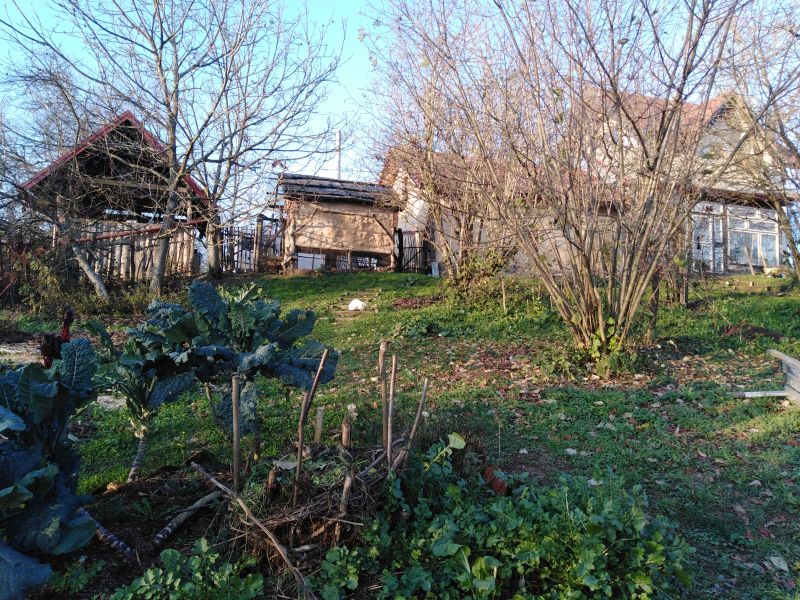 Permaculture farm in Croatia - Bogata Suma