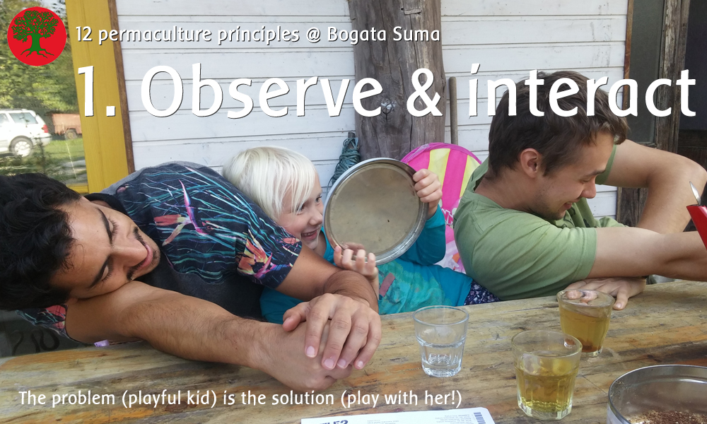 Permaculture principle 1: Observe and interact