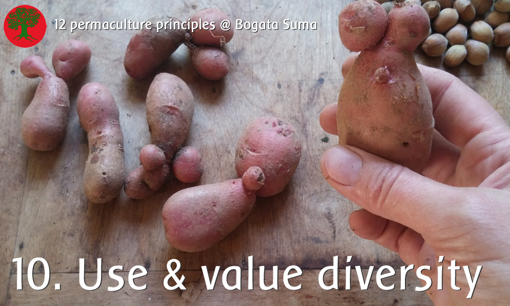 Permaculture principle 10: Use and value diversity