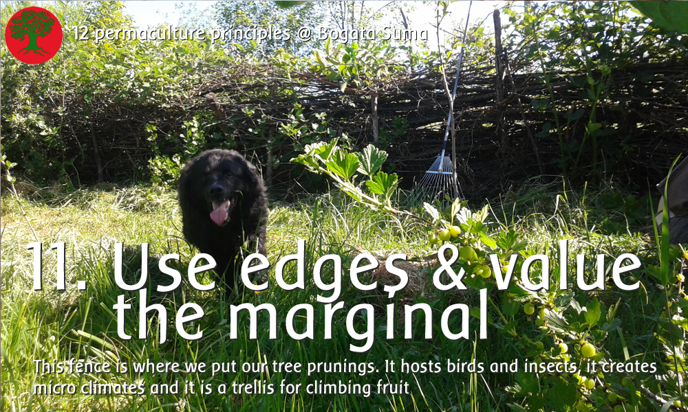 Permaculture principle 11: Use edges and value the marginal