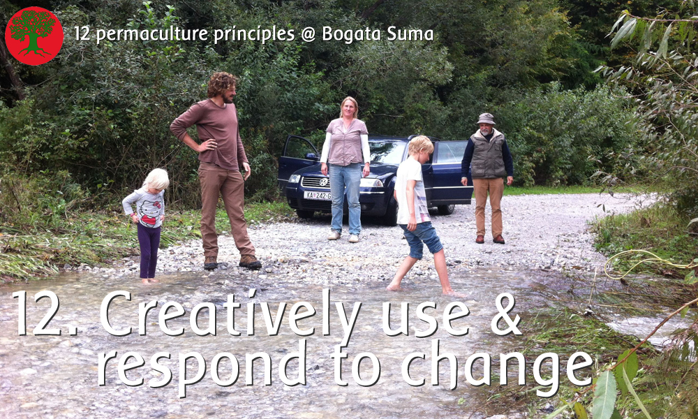 Permaculture principle 12: Creatively use and respond to change