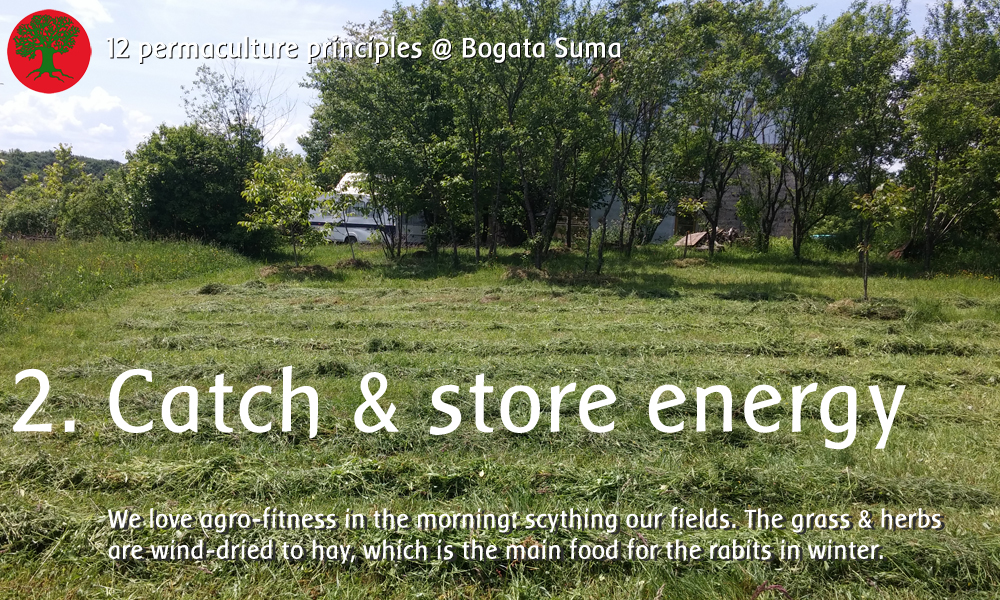 Permaculture principle 2: catch and store energy