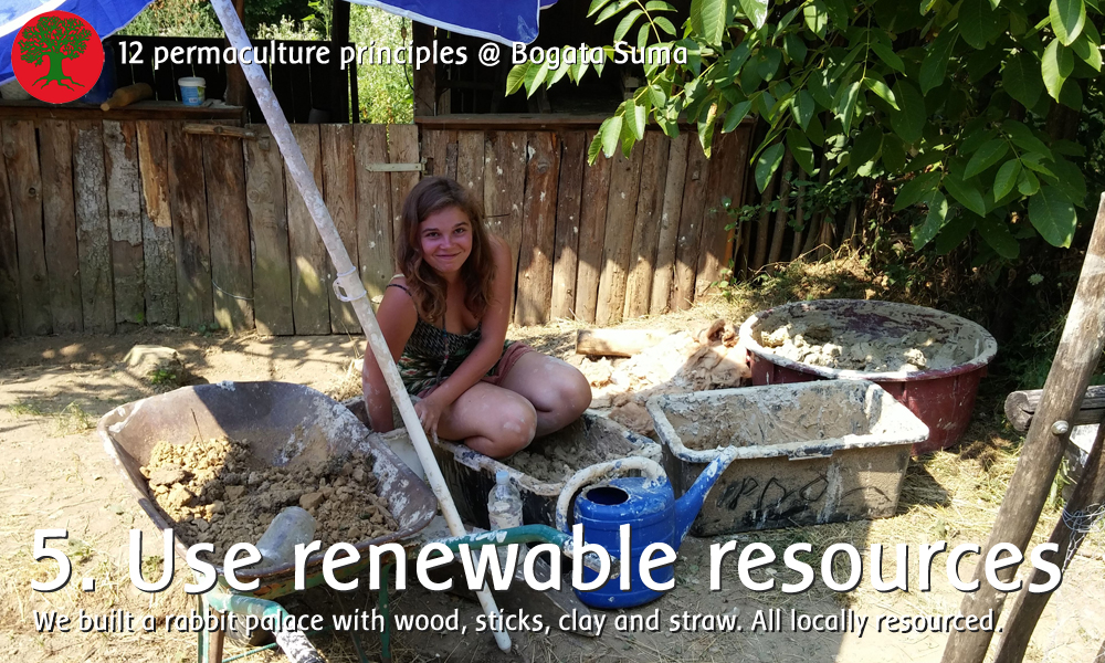 Permaculture principle 5: Use renewable resources