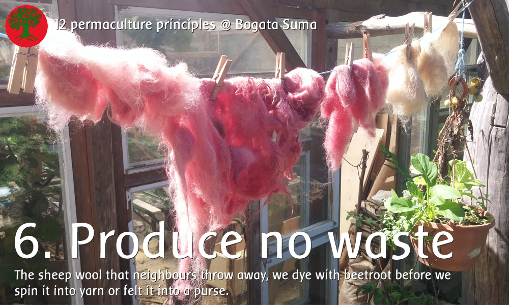 Permaculture principle 6: Produce no waste