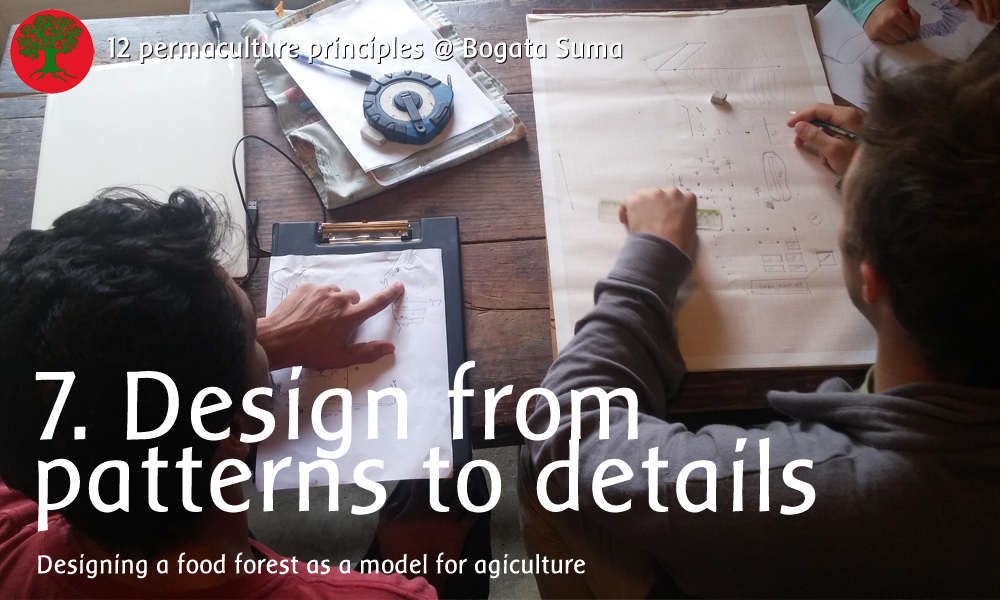Permaculture principle 7: Design from patterns to details