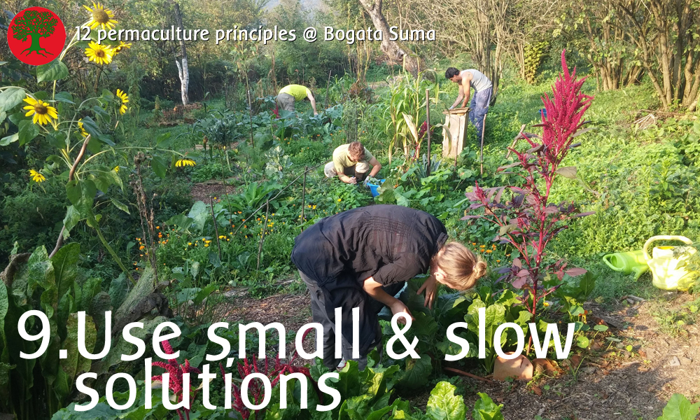 Permaculture principle 9: Use small and slow solutions
